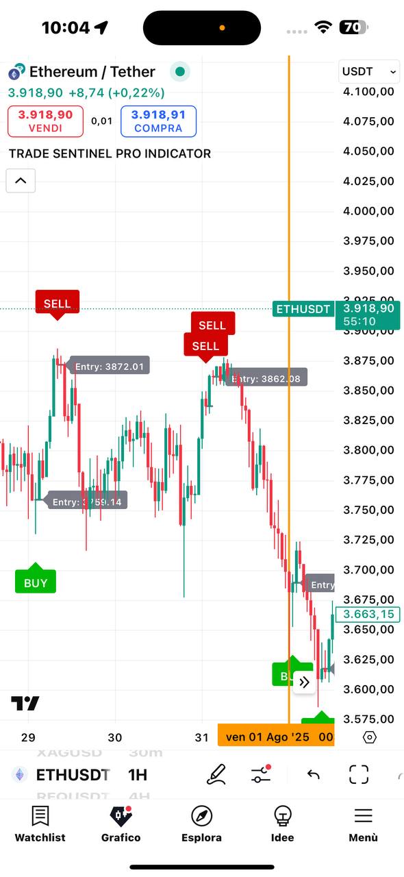 Immagine WhatsApp 2025-08-08 ore 10.23.18_cc33f82a